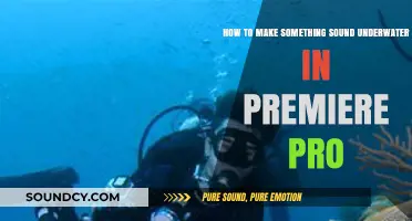 Create Immersive Underwater Audio Effects in Premiere Pro Easily