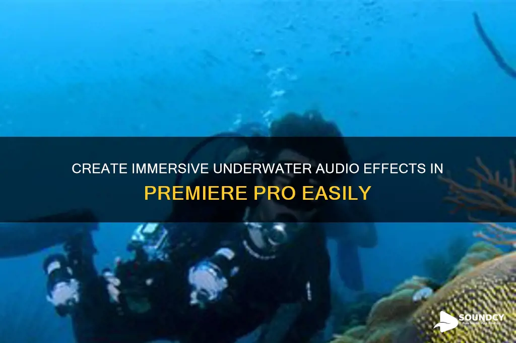 how to make something sound underwater in premiere pro