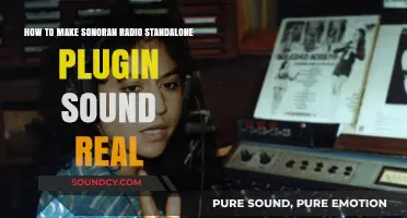 Enhance Sonoran Radio Plugin Realism: Expert Tips for Authentic Sound