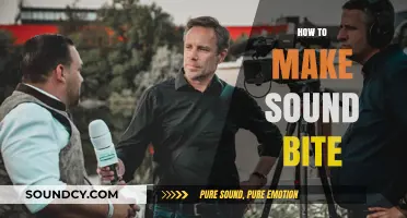 Crafting Memorable Sound Bites: Tips for Clear, Concise, and Impactful Messaging