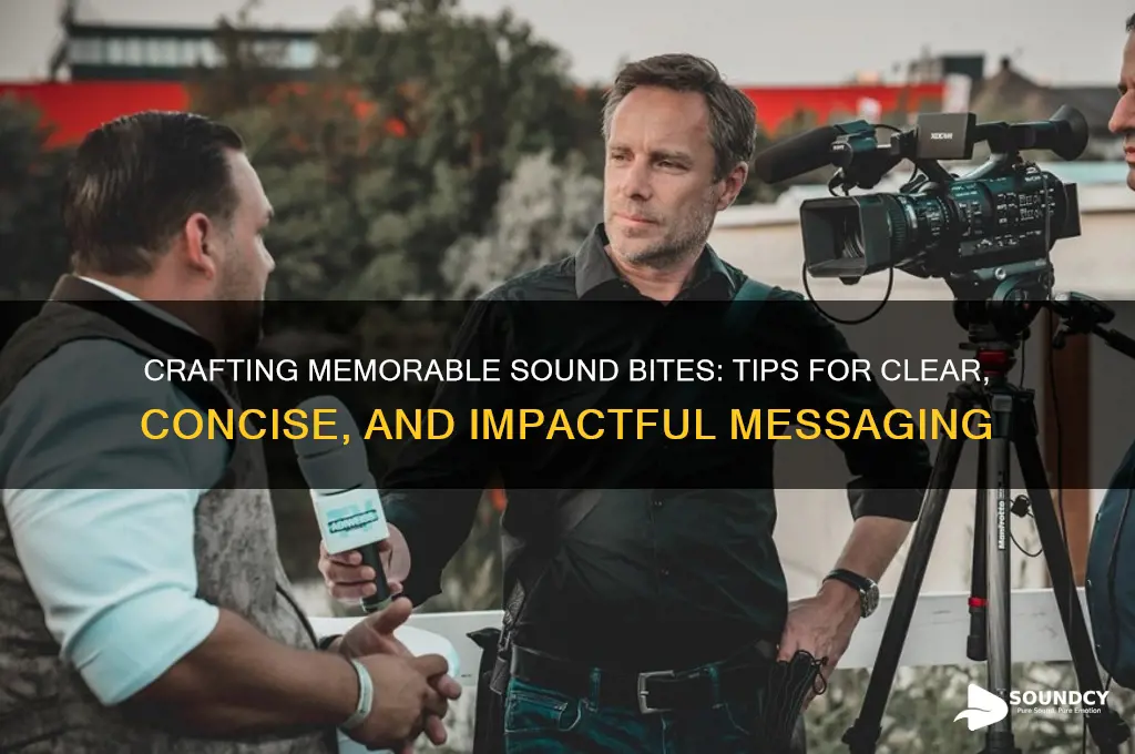 how to make sound bite