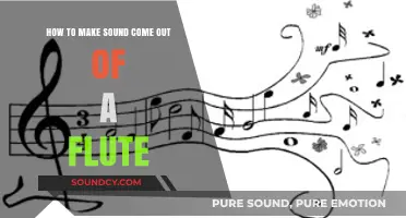 Mastering the Flute: Techniques to Produce Clear, Beautiful Sounds