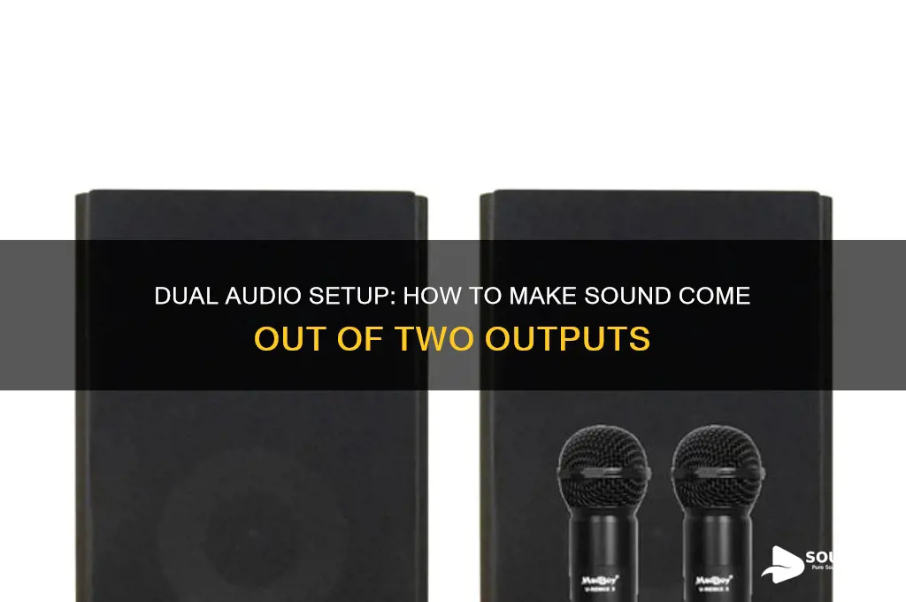 how to make sound come out of two outputs