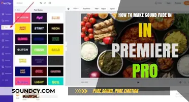 Mastering Audio Transitions: How to Create Smooth Fade-Ins in Premiere Pro