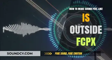 Enhance Outdoor Audio in FCPX: Techniques for Realistic Soundscapes