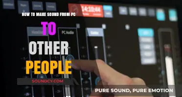 Share Your PC Audio: Easy Ways to Broadcast Sound to Others