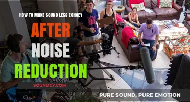 Reduce Echo and Enhance Clarity: Post-Noise Reduction Audio Tips