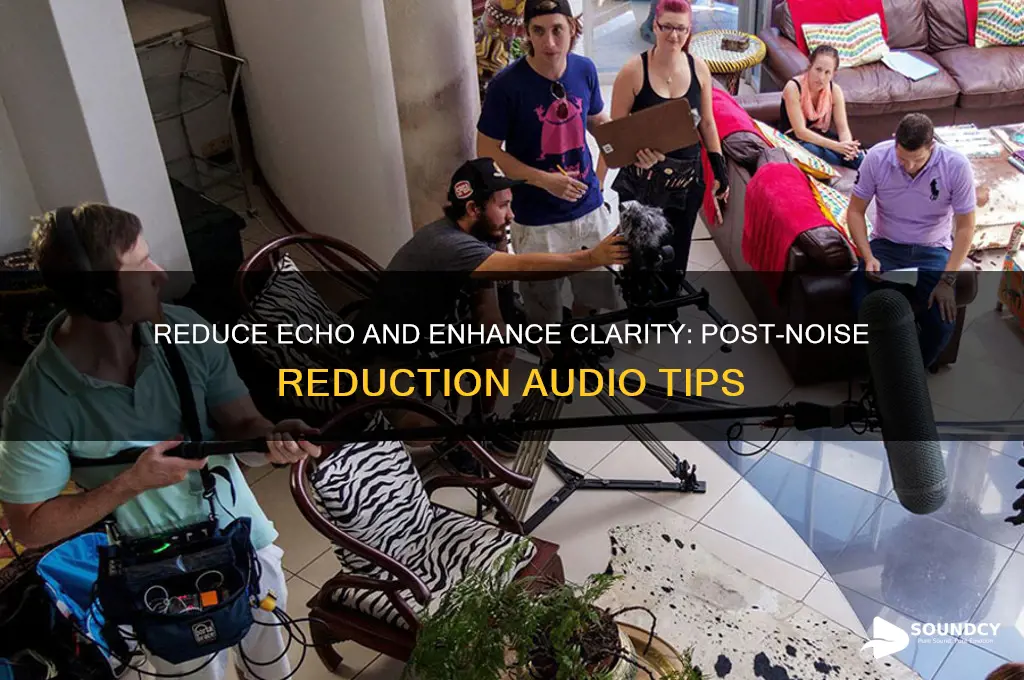 how to make sound less echoey after noise reduction