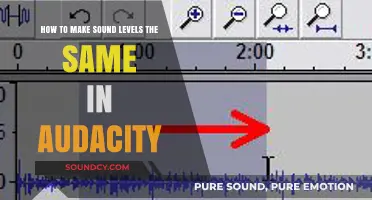 Mastering Audio Consistency: How to Balance Sound Levels in Audacity