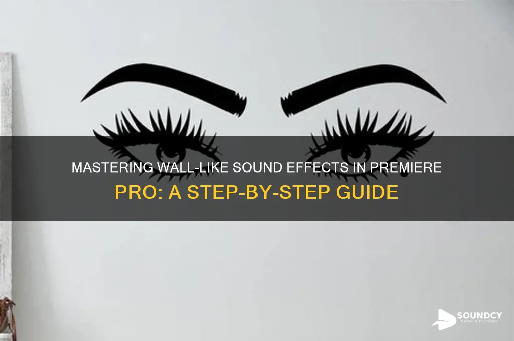 how to make sound like walls on premier pro
