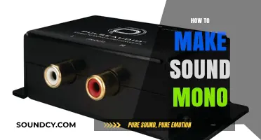 Mastering Mono: Simple Steps to Convert Stereo Sound to Mono