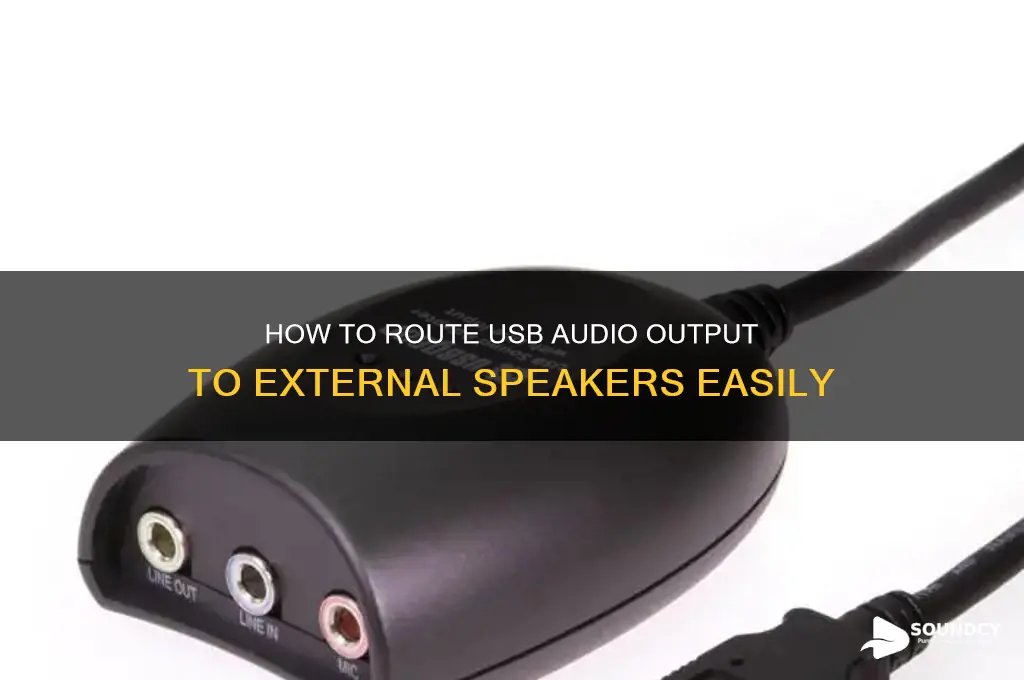how to make sound through usb go through speakers