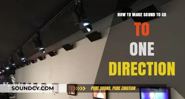 Mastering Directional Sound: Techniques to Focus Audio in One Direction