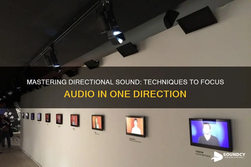 how to make sound to go to one direction
