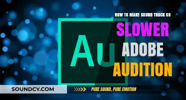 Slow Down Your Soundtrack: Adobe Audition Time-Stretching Techniques