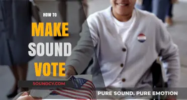 Mastering the Art of Sound Voting: Tips for Informed Decisions