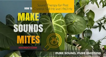 Crafting Soundscapes: A Beginner’s Guide to Making Sound Mites