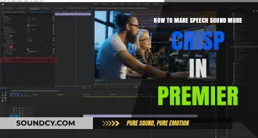 Enhance Your Audio: Crisp Speech Techniques in Adobe Premiere Pro