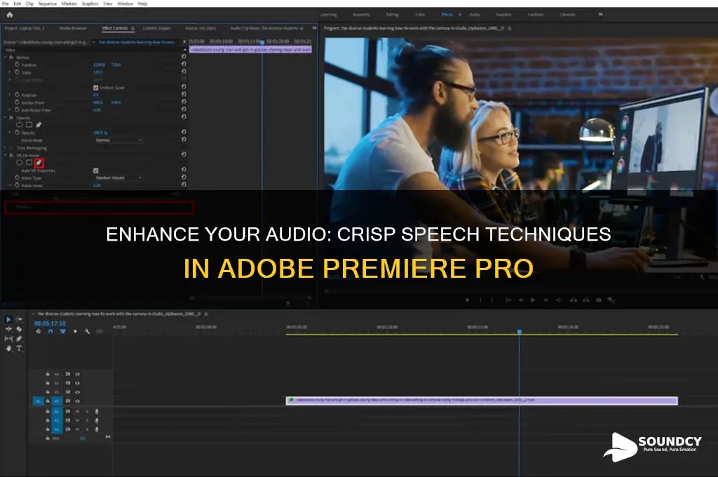 how to make speech sound more crisp in premier