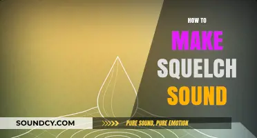 Mastering Squelch Sounds: Techniques for Creating Unique Audio Effects