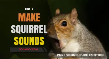 Mastering Squirrel Sounds: Techniques to Mimic Their Unique Vocalizations