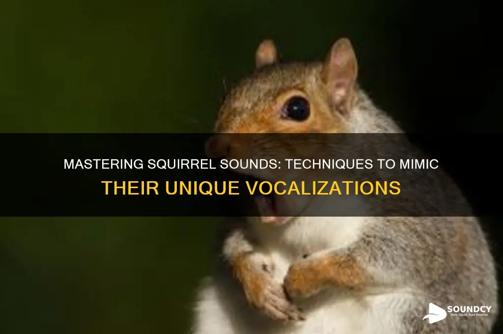 how to make squirrel sounds