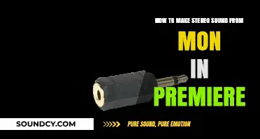 Transform Mono to Stereo: Enhance Audio in Premiere Pro Easily
