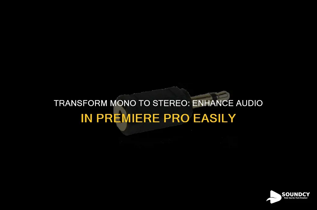 how to make stereo sound from mon in premiere