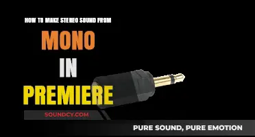 Transform Mono to Stereo: Enhance Audio in Premiere Pro Easily