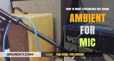 Enhance Your Stream: Creating Ambient Mic Audio in Streamlabs OBS
