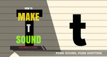 Mastering the Art of the 'T' Sound: Tips and Techniques for Clear Pronunciation