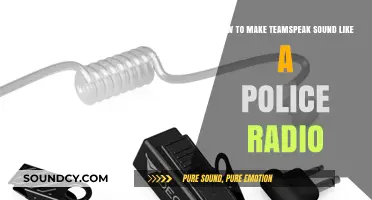 Transform Teamspeak Audio into Realistic Police Radio Chatter Effects
