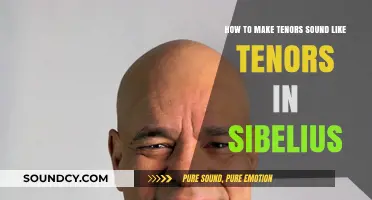 Mastering Tenor Realism in Sibelius: Techniques for Authentic Vocal Sound