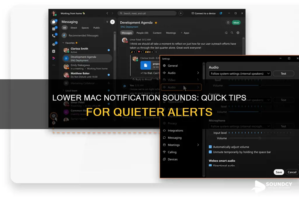 how to make text notification sound on mac quieter