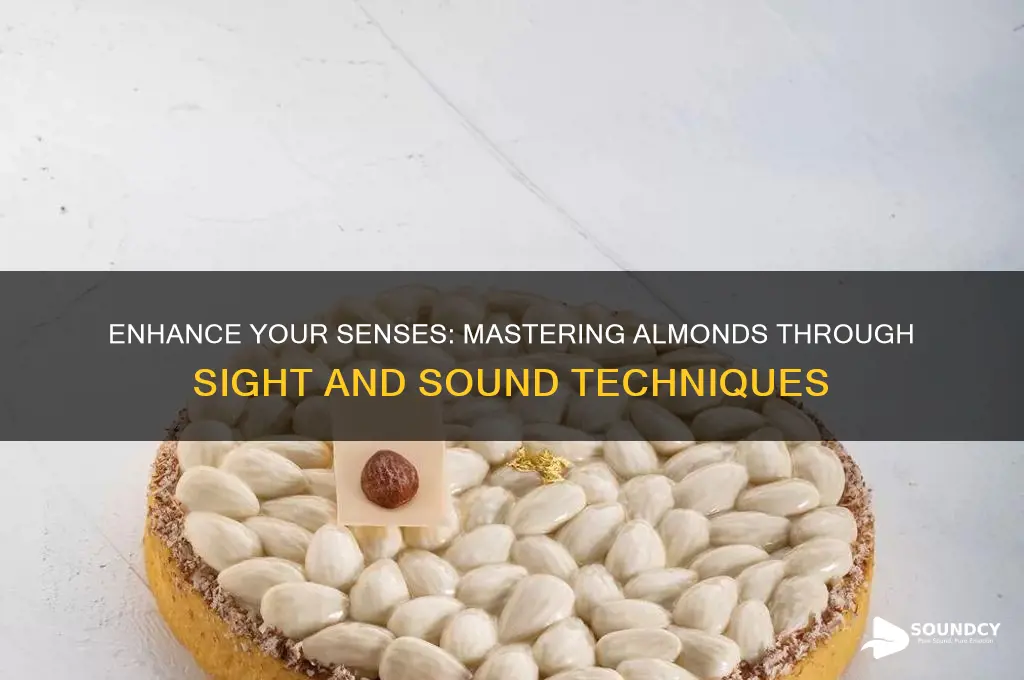 how to make the almonds at sight and sound