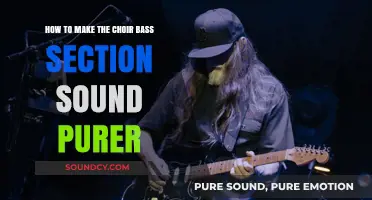 Enhance Choir Bass Purity: Techniques for a Clearer, Richer Sound