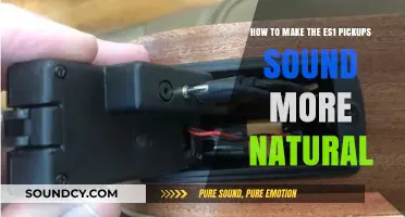 Enhance Your ES1 Pickups: Achieving a Natural, Authentic Tone