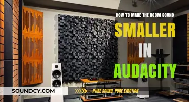 Shrink Your Room's Acoustics: Audacity Tips for Smaller Sound Spaces