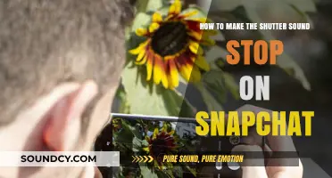 Silence Your Snapchat Shutter Sound: Quick and Easy Steps