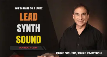Mastering T Lavitz's Iconic Lead Synth Sound: A Step-by-Step Guide