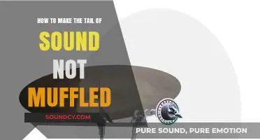 Clear Sound Tails: Techniques to Eliminate Muffled Audio Effects
