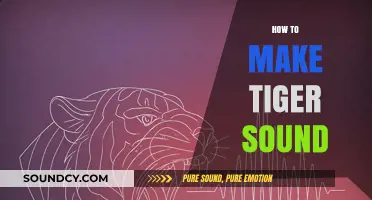 Mastering the Art of Roaring: How to Make a Tiger Sound