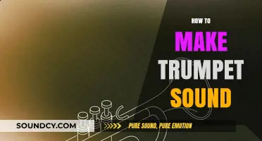 Mastering the Trumpet: Essential Techniques for Rich, Clear Sound Production