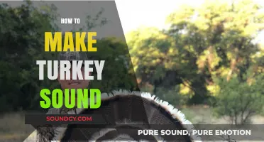 Mastering Turkey Calls: Techniques to Perfect Realistic Turkey Sounds