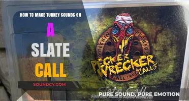 Mastering Turkey Sounds: A Slate Call Guide for Hunters