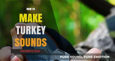 Mastering Turkey Calls: Techniques to Perfect Realistic Gobbler Sounds