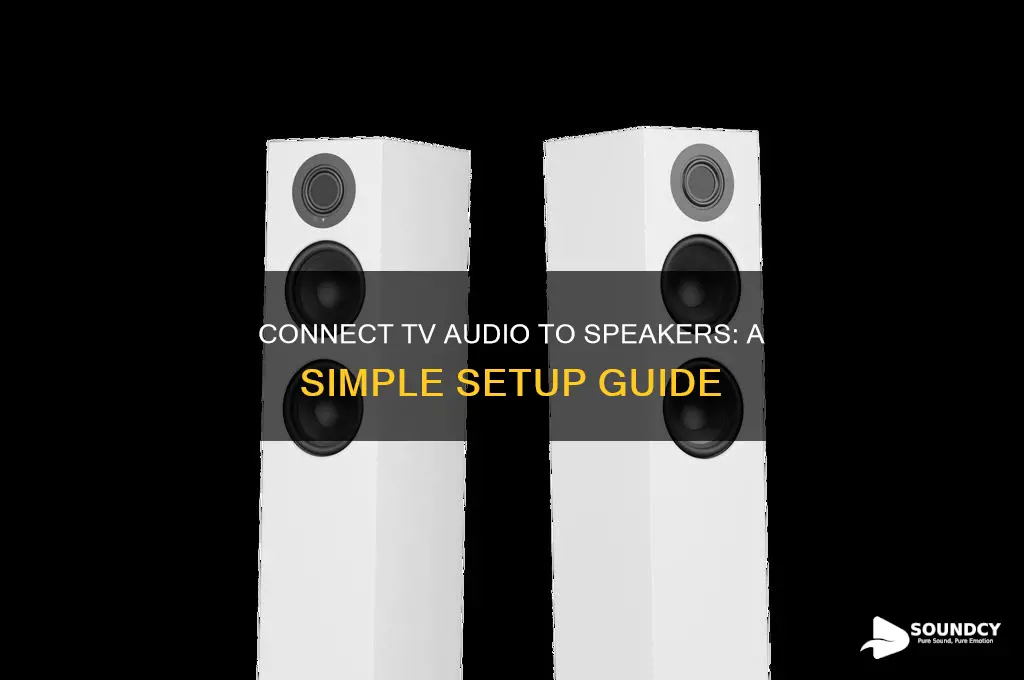 how to make tv sound come out of speakers