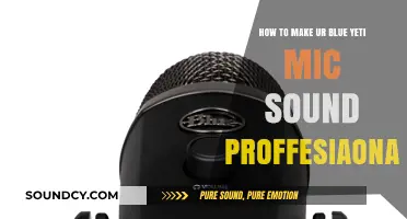 Master Your Blue Yeti: Pro Tips for Professional-Quality Audio