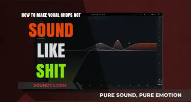 Mastering Vocal Chops: Techniques to Elevate Your Sound Quality