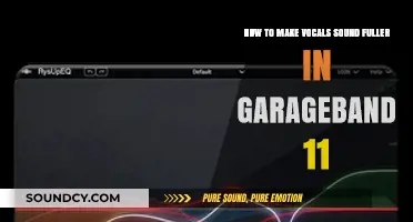 Enhance Your Vocals: Tips for a Fuller Sound in GarageBand 11